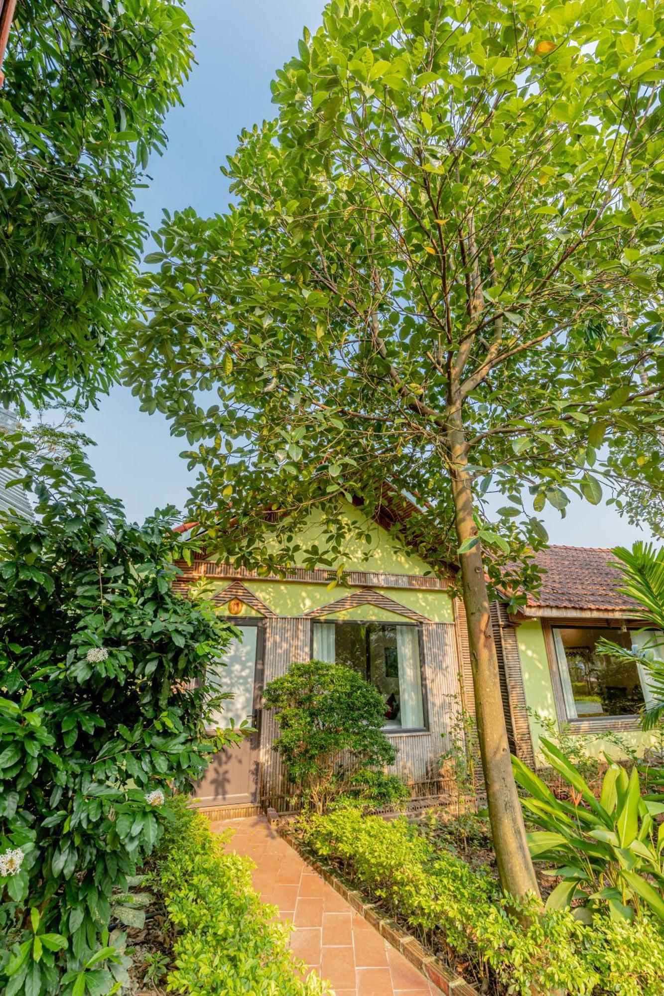 נין בין Tam Coc Green Garden Bungalow מראה חיצוני תמונה
