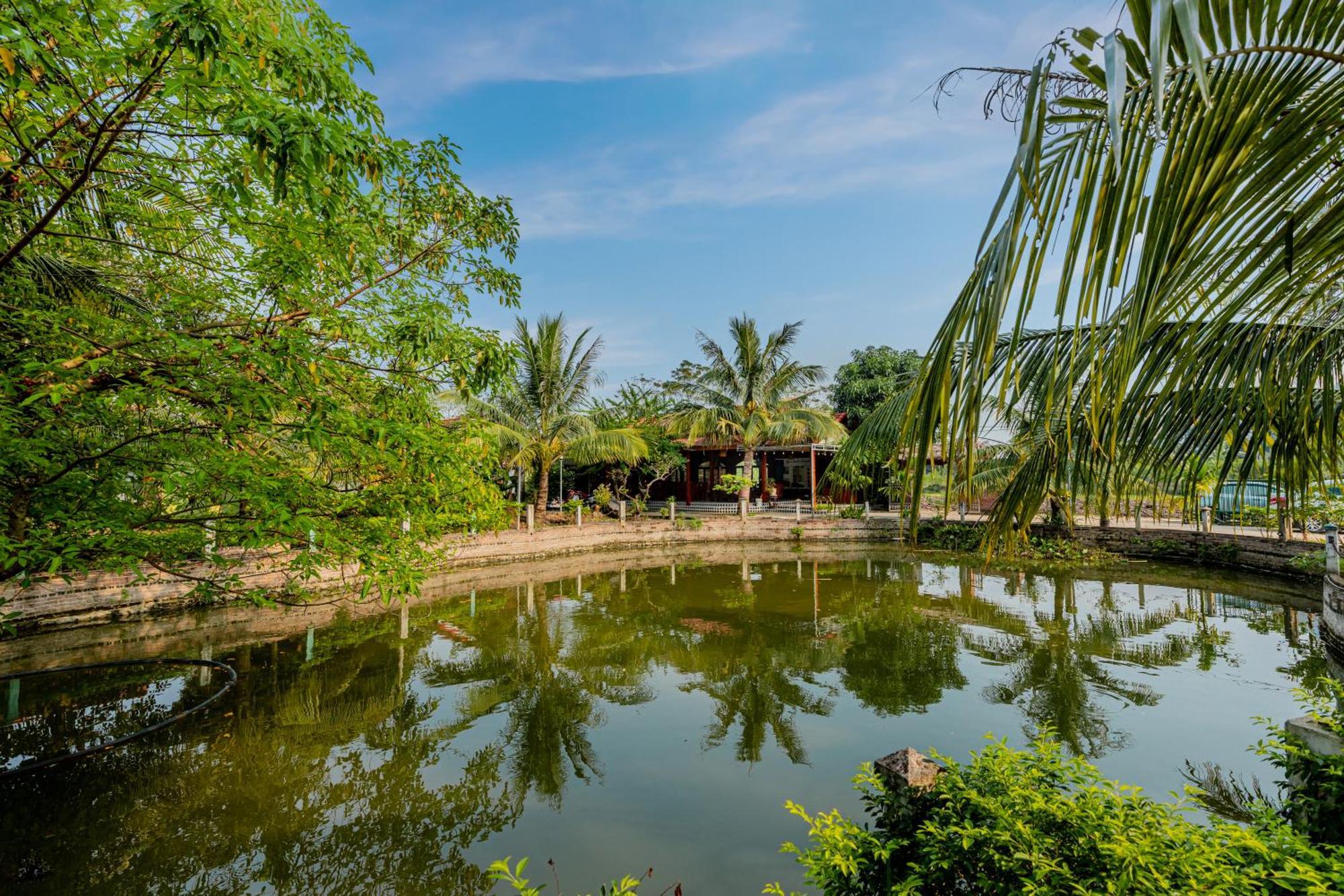 נין בין Tam Coc Green Garden Bungalow מראה חיצוני תמונה