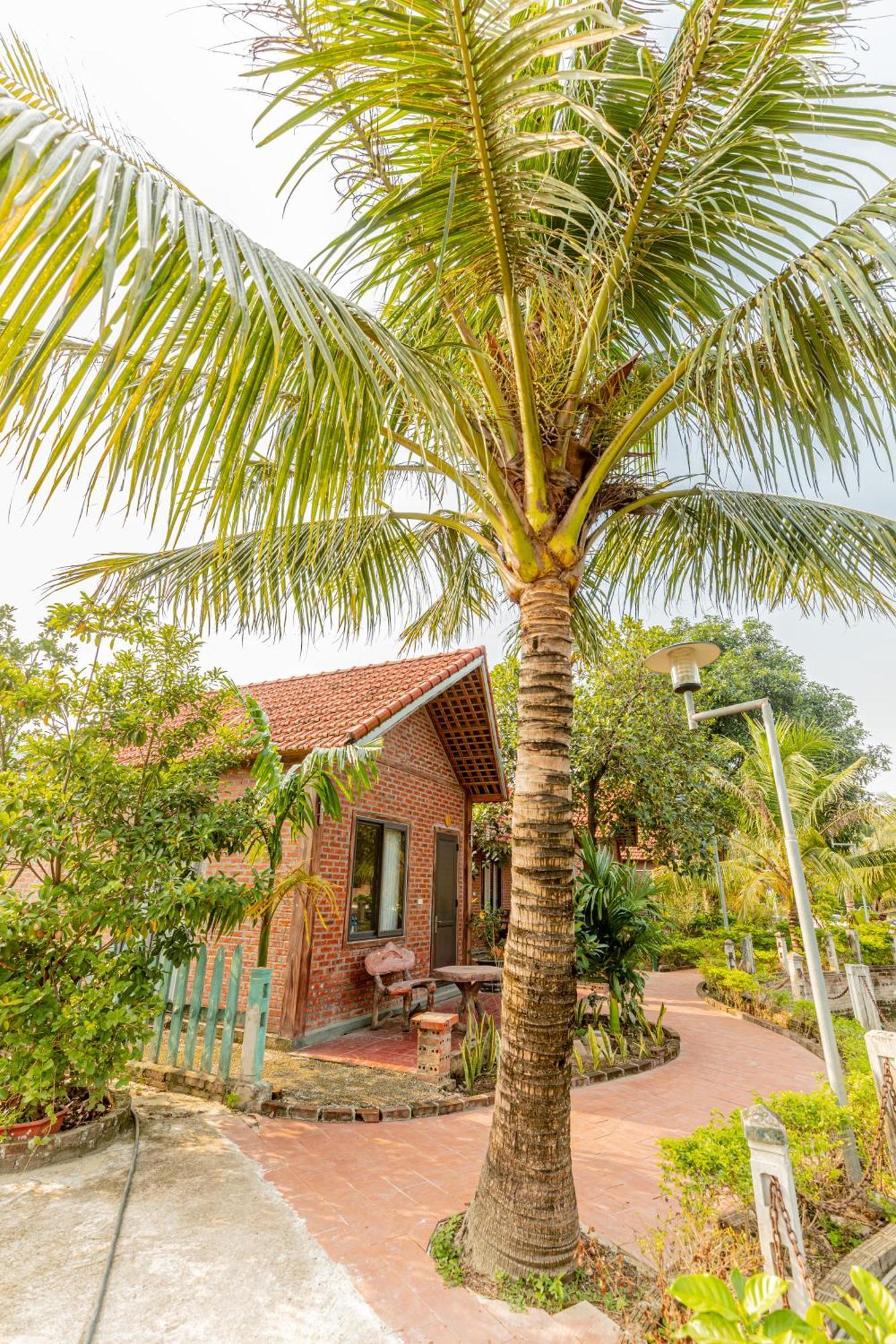 נין בין Tam Coc Green Garden Bungalow מראה חיצוני תמונה