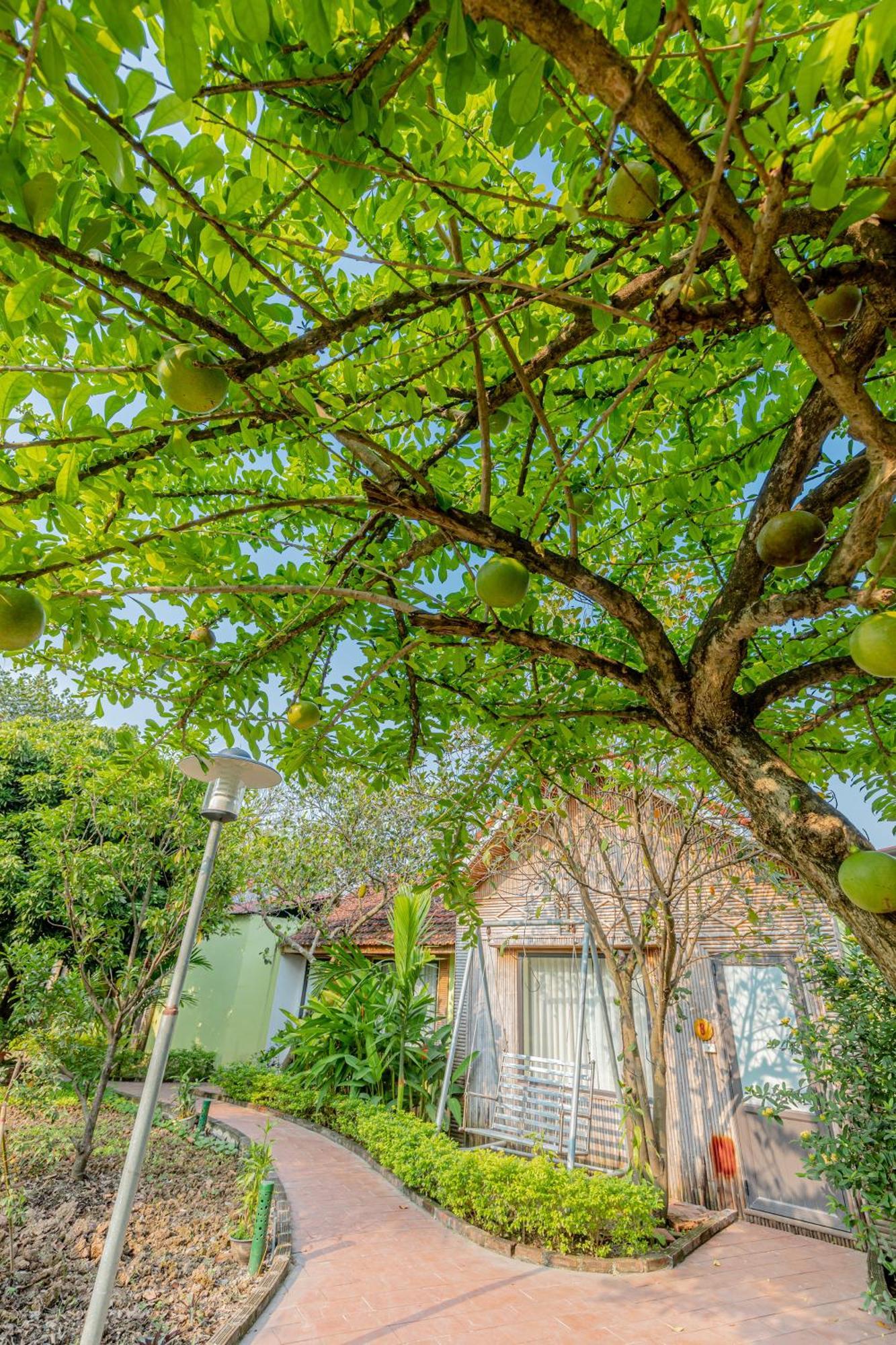נין בין Tam Coc Green Garden Bungalow מראה חיצוני תמונה